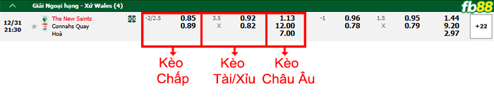 Fb88 bảng kèo trận đấu The New Saints vs Connah's Quay