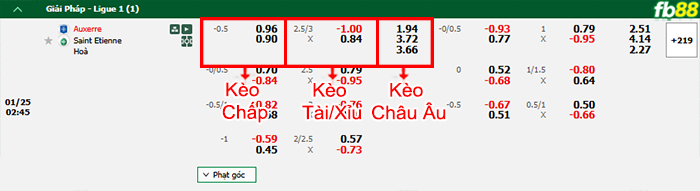 Fb88 bảng kèo trận đấu Auxerre vs Saint-Etienne