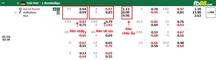 fb88-bảng kèo trận đấu Bayern Munich vs Hoffenheim