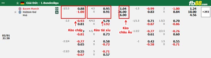 fb88-bảng kèo trận đấu Bayern Munich vs Holstein Kiel