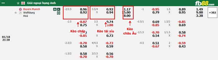 fb88-bảng kèo trận đấu Bayern Munich vs Wolfsburg