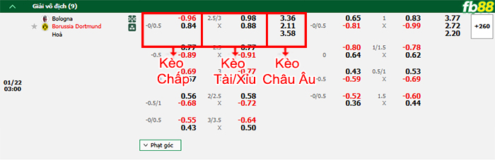 Fb88 bảng kèo trận đấu Bologna vs Dortmund