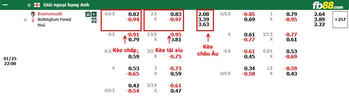 fb88-bảng kèo trận đấu Bournemouth vs Nottingham