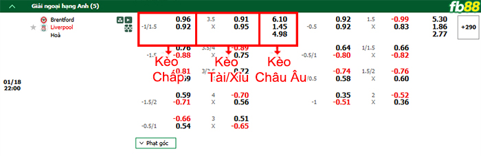 Fb88 bảng kèo trận đấu Brentford vs Liverpool