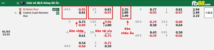 fb88-bảng kèo trận đấu Brisbane Roar vs Central Coast
