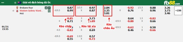 fb88-bảng kèo trận đấu Brisbane Roar vs Western Sydney