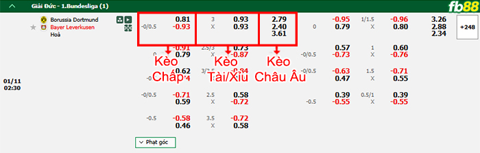 Fb88 bảng kèo trận đấu Dortmund vs Leverkusen