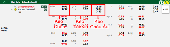 Fb88 bảng kèo trận đấu Eintracht Frankfurt vs Dortmund