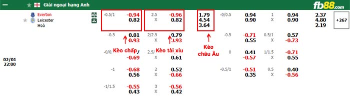 fb88-bảng kèo trận đấu Everton vs Leicester