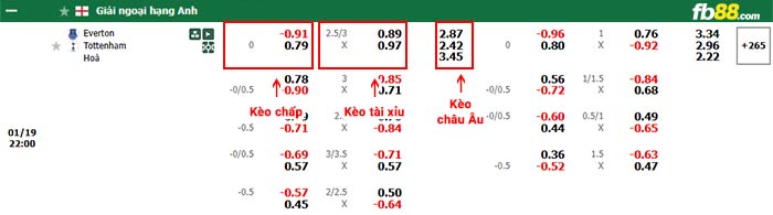 fb88-bảng kèo trận đấu Everton vs Tottenham