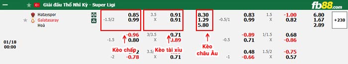fb88-bảng kèo trận đấu Hatayspor vs Galatasaray