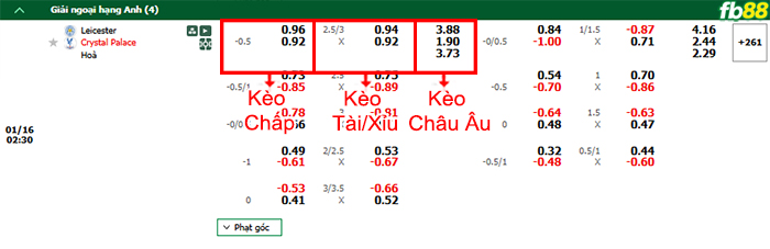 Fb88 bảng kèo trận đấu Leicester vs Crystal Palac