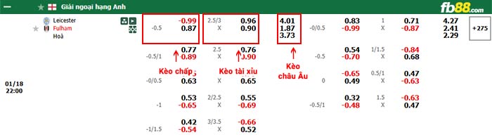 fb88-bảng kèo trận đấu Leicester vs Fulham