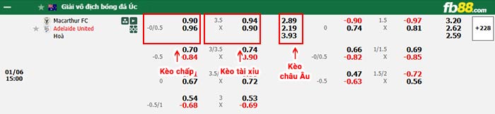 fb88-bảng kèo trận đấu Macarthur vs Adelaide