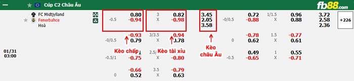 fb88-bảng kèo trận đấu Midtjylland vs Fenerbahce