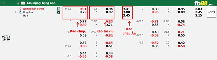 fb88-bảng kèo trận đấu Nottingham Forest vs Brighton