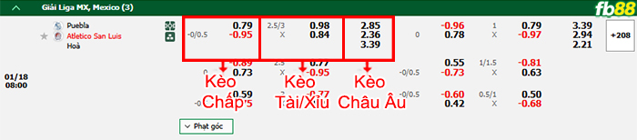 Fb88 bảng kèo trận đấu Puebla vs San Luis