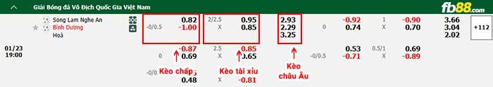 fb88-bảng kèo trận đấu SLNA vs Bình Dương