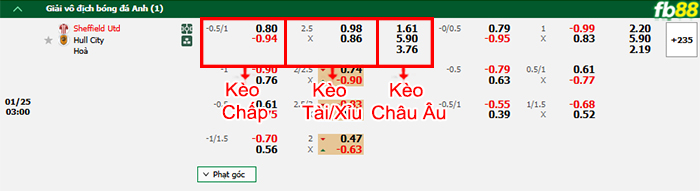 Fb88 bảng kèo trận đấu Sheffield United vs Hull City