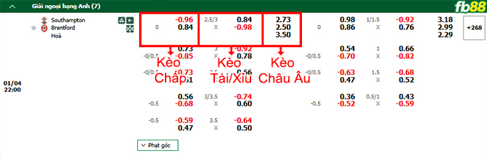 Fb88 bảng kèo trận đấu Southampton vs Brentford
