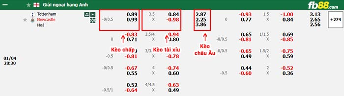 fb88-bảng kèo trận đấu Tottenham vs Newcastle