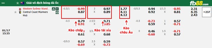 fb88-bảng kèo trận đấu Western Sydney vs Central Coast