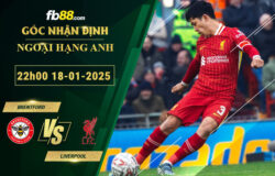 Fb88 soi kèo trận đấu Brentford vs Liverpool