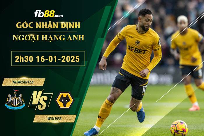 Fb88 soi kèo trận đấu Newcastle vs Wolve