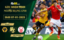 Fb88 soi kèo trận đấu Wolves vs Nottingham