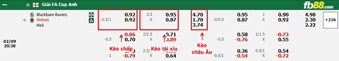 fb88-bảng kèo trận đấu Blackburn vs Wolves