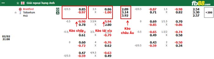 fb88-bảng kèo trận đấu Brentford vs Tottenham