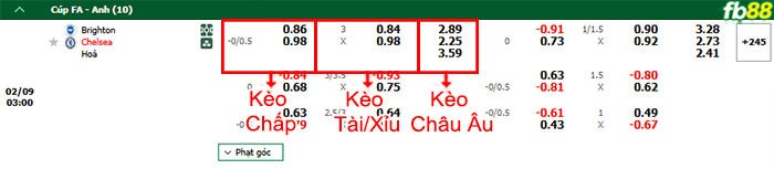 fb88-bang-keo-tran-dau-Brighton-vs-Chelsea--09-02-2025