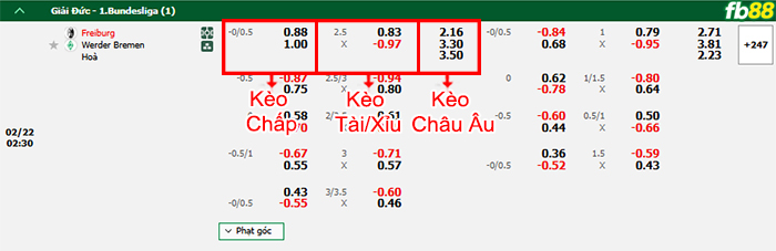 Fb88 bảng kèo trận đấu Freiburg vs Werder Bremen