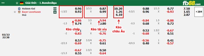 fb88-bảng kèo trận đấu Holstein Kiel vs Leverkusen