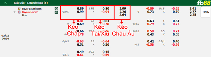 fb88-bang-keo-tran-dau-Leverkusen-vs-Bayern-Munich--16-02-2025