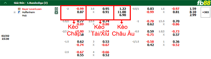 fb88-bang-keo-tran-dau-Leverkusen-vs-Hoffenheim-02-02-2025