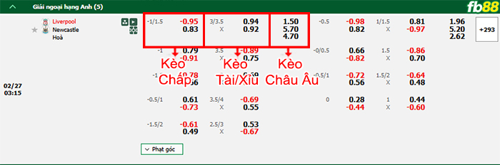 Fb88 bảng kèo trận đấu Liverpool vs Newcastle