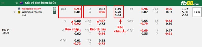 fb88-bảng kèo trận đấu Melbourne Victory vs Wellington Phoenix