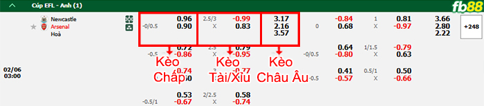Fb88 bảng kèo trận đấu Newcastle vs Arsenal