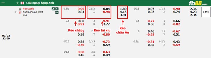 fb88-bảng kèo trận đấu Newcastle vs Nottingham