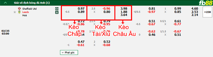 Fb88 bảng kèo trận đấu Sheffield United vs Leeds