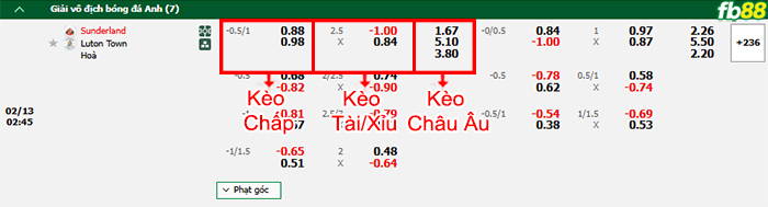 Fb88 bảng kèo trận đấu Sunderland vs Luton Town