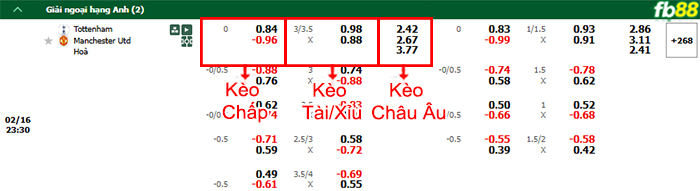 fb88-bang-keo-tran-dau-Tottenham-vs-Man-Utd-16-02-2025