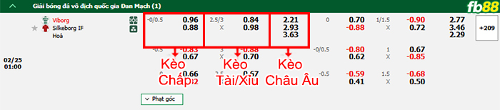 Fb88 bảng kèo trận đấu Viborg vs Silkeborg