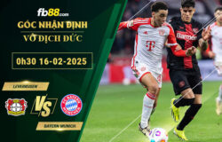 fb88-soi-keo-tran-dau-Leverkusen-vs-Bayern-Munich--16-02-2025