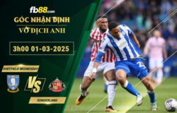 Fb88 soi kèo trận đấu Sheffield Wednesday vs Sunderland