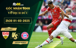 Fb88 soi kèo trận đấu Stuttgart vs Bayern Munich