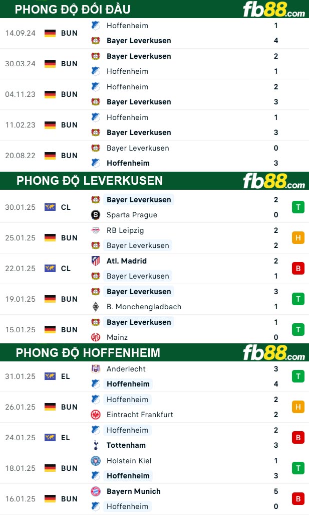 fb88-thong-so-tran-dau-Leverkusen-vs-Hoffenheim-02-02-2025