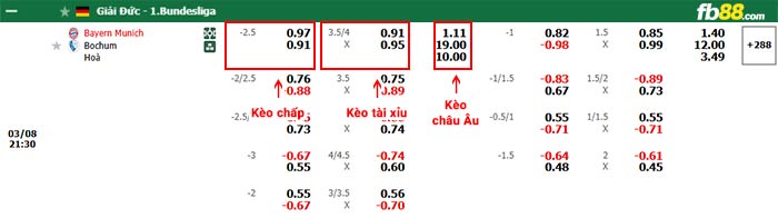 fb88-bảng kèo trận đấu Bayern Munich vs Bochum