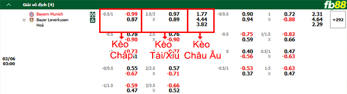 fb88-bang-keo-tran-dau-Bayern-Munich-vs-Leverkusen-06-03-2025